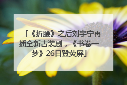 《折腰》之后刘宇宁再播全新古装剧，《书卷一梦》26日登荧屏