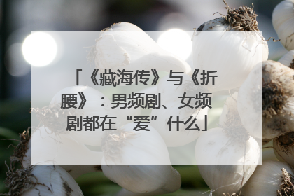 《藏海传》与《折腰》：男频剧、女频剧都在“爱”什么