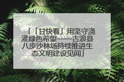 「甘快看」用坚守浇灌绿色希望——古浪县八步沙林场持续推进生态文明建设见闻