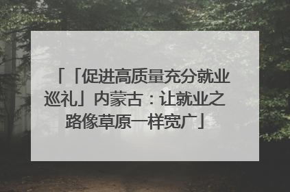 「促进高质量充分就业巡礼」内蒙古：让就业之路像草原一样宽广