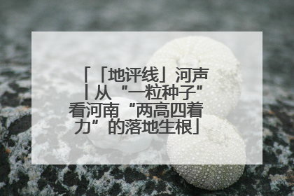 「地评线」河声丨从“一粒种子”看河南“两高四着力”的落地生根