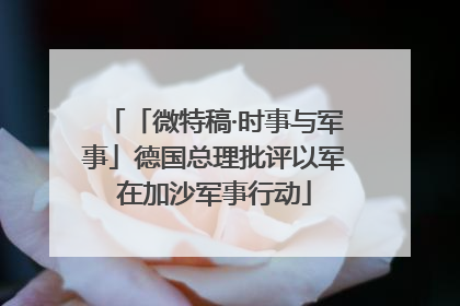 「微特稿·时事与军事」德国总理批评以军在加沙军事行动