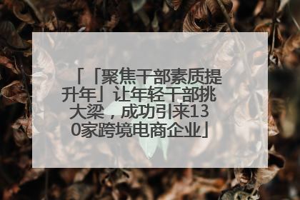 「聚焦干部素质提升年」让年轻干部挑大梁，成功引来130家跨境电商企业