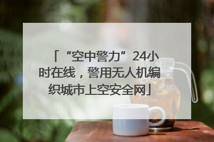 “空中警力”24小时在线，警用无人机编织城市上空安全网