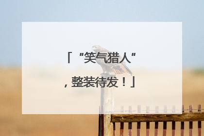 “笑气猎人”，整装待发！
