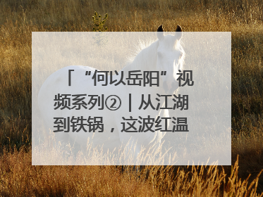 “何以岳阳”视频系列②｜从江湖到铁锅，这波红温我先炫为敬！