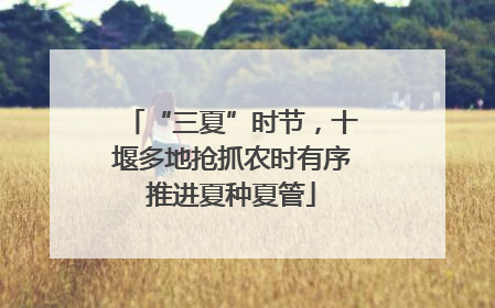 “三夏”时节，十堰多地抢抓农时有序推进夏种夏管