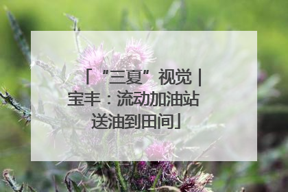 “三夏”视觉｜宝丰：流动加油站 送油到田间