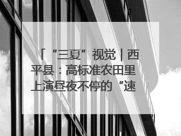 “三夏”视觉｜西平县：高标准农田里上演昼夜不停的“速度与激情”