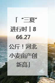 “三夏”进行时丨866.27公斤！河北小麦亩产创新高