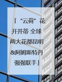 “云荷”花开并蒂 全球两大花都昆明&阿姆斯特丹强强联手