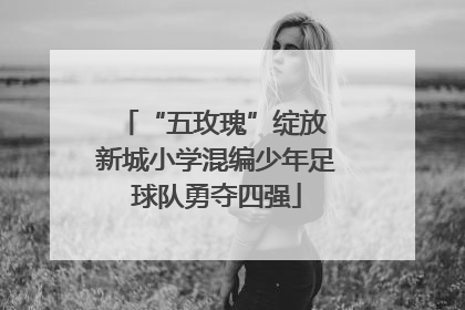 “五玫瑰”绽放 新城小学混编少年足球队勇夺四强
