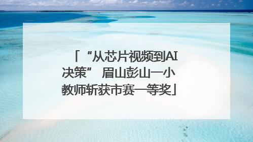 “从芯片视频到AI决策” 眉山彭山一小教师斩获市赛一等奖