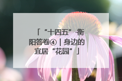 “十四五”·衡阳答卷④｜身边的宜居“花园”