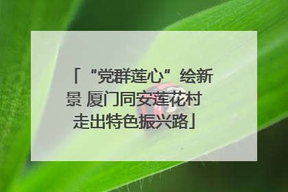 “党群莲心”绘新景 厦门同安莲花村走出特色振兴路