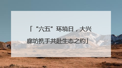 “六五”环境日，大兴廊坊携手共赴生态之约