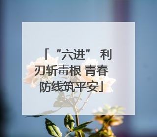 “六进” 利刃斩毒根 青春防线筑平安
