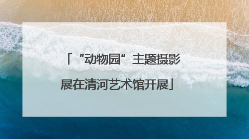 “动物园”主题摄影展在清河艺术馆开展