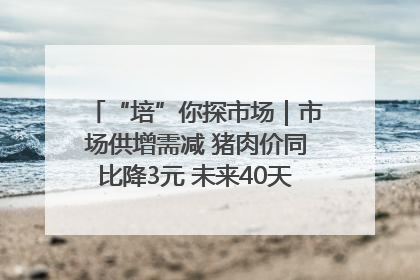“培”你探市场｜市场供增需减 猪肉价同比降3元 未来40天便宜猪肉敞开吃