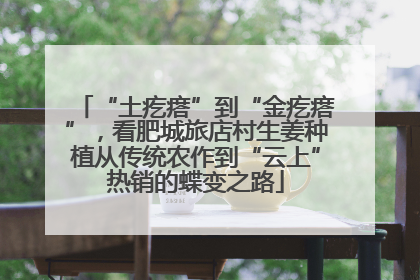 “土疙瘩”到“金疙瘩”，看肥城旅店村生姜种植从传统农作到“云上”热销的蝶变之路