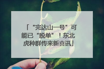 “完达山一号”可能已“脱单”！东北虎种群传来新喜讯