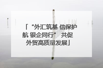 “外汇筑基 信保护航 银企同行” 共促外贸高质量发展