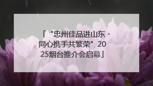 “忠州佳品进山东・同心携手共繁荣”2025烟台推介会启幕