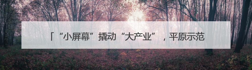 “小屏幕”撬动“大产业”，平原示范区微短剧“剧集地”激活文化新经济