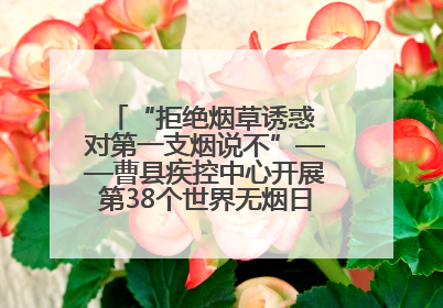 “拒绝烟草诱惑 对第一支烟说不”——曹县疾控中心开展第38个世界无烟日科普宣传活动