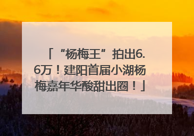 “杨梅王”拍出6.6万！建阳首届小湖杨梅嘉年华酸甜出圈！
