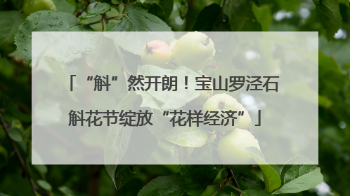 “斛”然开朗！宝山罗泾石斛花节绽放“花样经济”