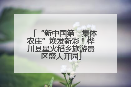 “新中国第一集体农庄”焕发新彩！桦川县星火稻乡旅游景区盛大开园