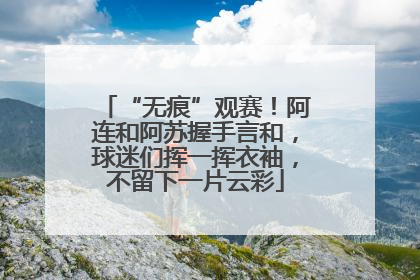 “无痕”观赛！阿连和阿苏握手言和，球迷们挥一挥衣袖，不留下一片云彩
