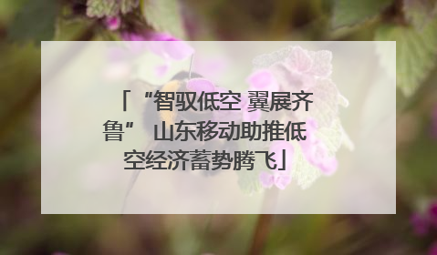 “智驭低空 翼展齐鲁” 山东移动助推低空经济蓄势腾飞