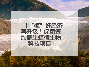 “梅”好经济再升级！保康签约野生蜡梅生物科技项目