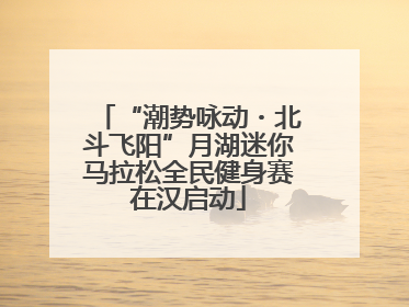 “潮势咏动・北斗飞阳”月湖迷你马拉松全民健身赛在汉启动