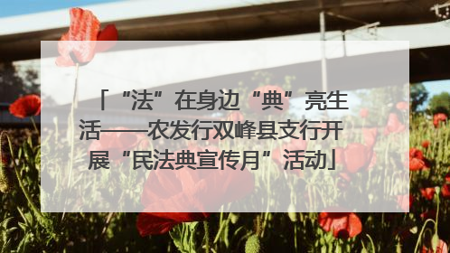 “法”在身边“典”亮生活——农发行双峰县支行开展“民法典宣传月”活动