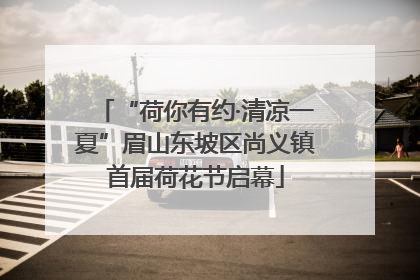 “荷你有约·清凉一夏”眉山东坡区尚义镇首届荷花节启幕