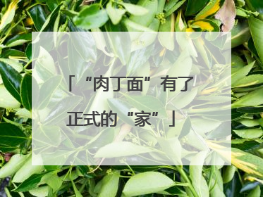 “肉丁面”有了正式的“家”