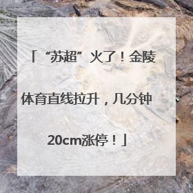 “苏超”火了！金陵体育直线拉升，几分钟20cm涨停！