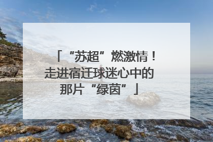 “苏超”燃激情！走进宿迁球迷心中的那片“绿茵”