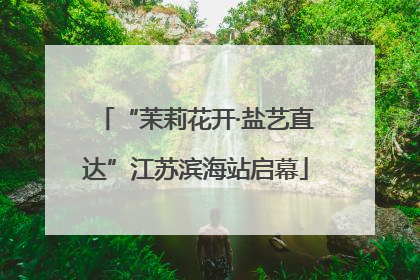 “茉莉花开·盐艺直达”江苏滨海站启幕