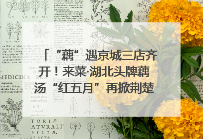 “藕”遇京城三店齐开！来菜·湖北头牌藕汤“红五月”再掀荆楚美食文化风暴