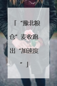 “豫北粮仓”麦收跑出“加速度”