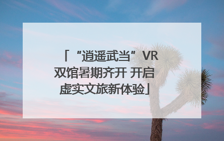 “逍遥武当”VR双馆暑期齐开 开启虚实文旅新体验