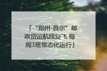 “郑州-首尔”邮政货运航线复飞 每周3班常态化运行