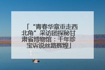 “青春华章重走西北角”采访团探秘甘肃省博物馆：千年珍宝诉说丝路辉煌