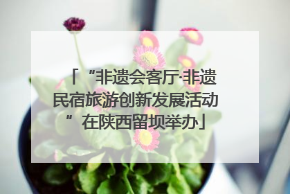 “非遗会客厅·非遗民宿旅游创新发展活动”在陕西留坝举办