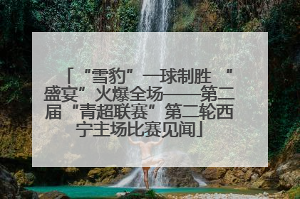 “雪豹”一球制胜 “盛宴”火爆全场——第二届“青超联赛”第二轮西宁主场比赛见闻
