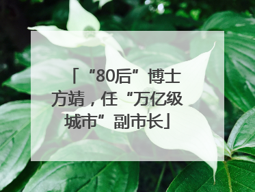 “80后”博士方靖，任“万亿级城市”副市长